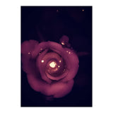 Red Sparkling Rose (Print Only) thumbnail