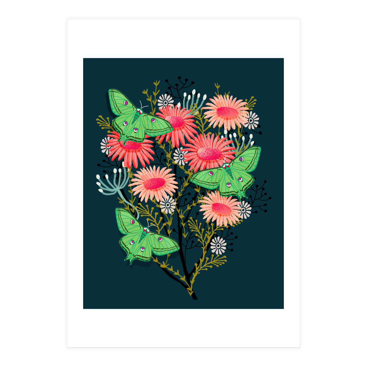 Luna Moth (Print Only)
