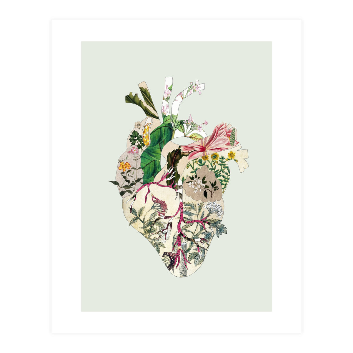 Vintage Botanical Heart - Green (Print Only)