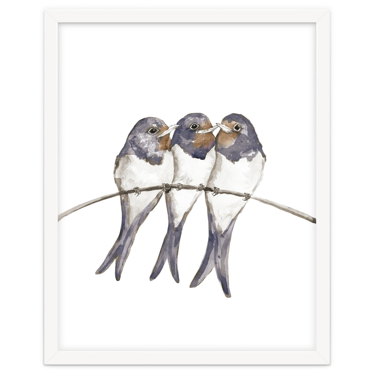 Three young swallows
