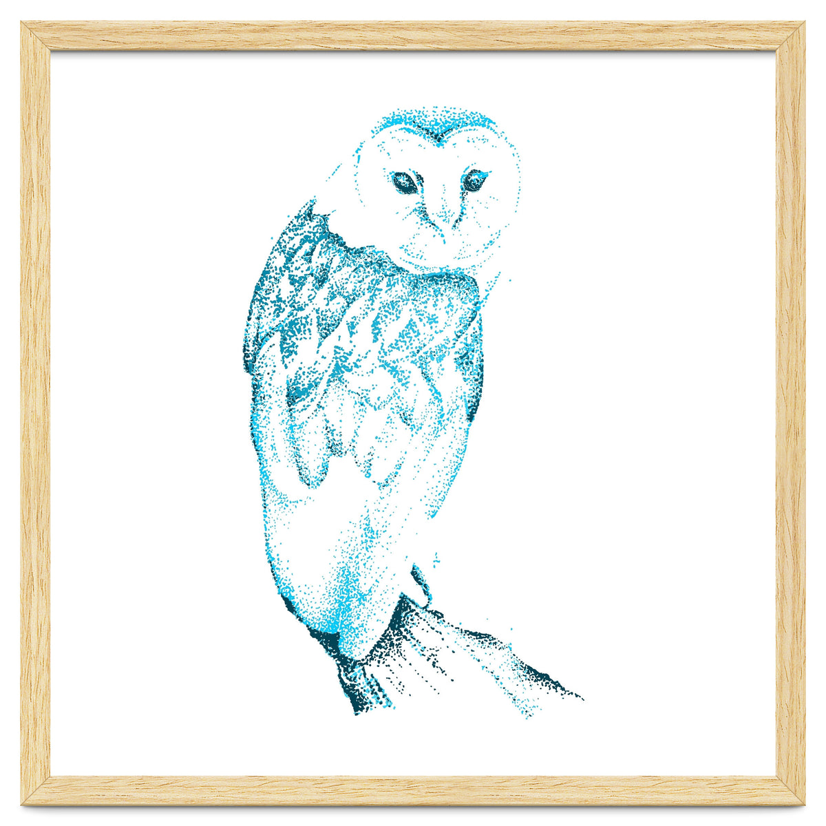 Barn Owl in Teal