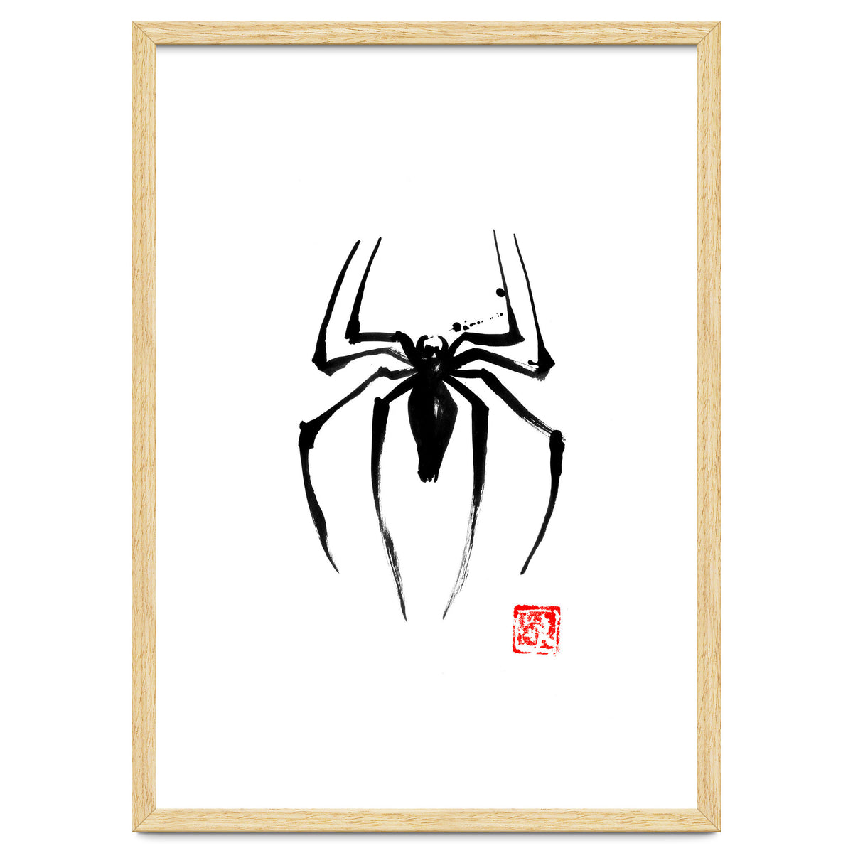 Spider