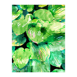 Colors Of The Jungle (Print Only) thumbnail