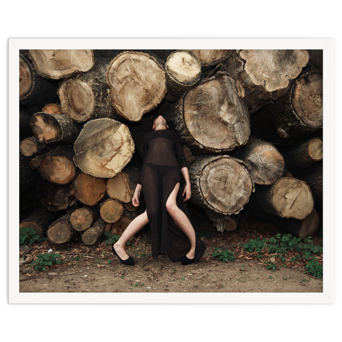 Slow Dancing Society