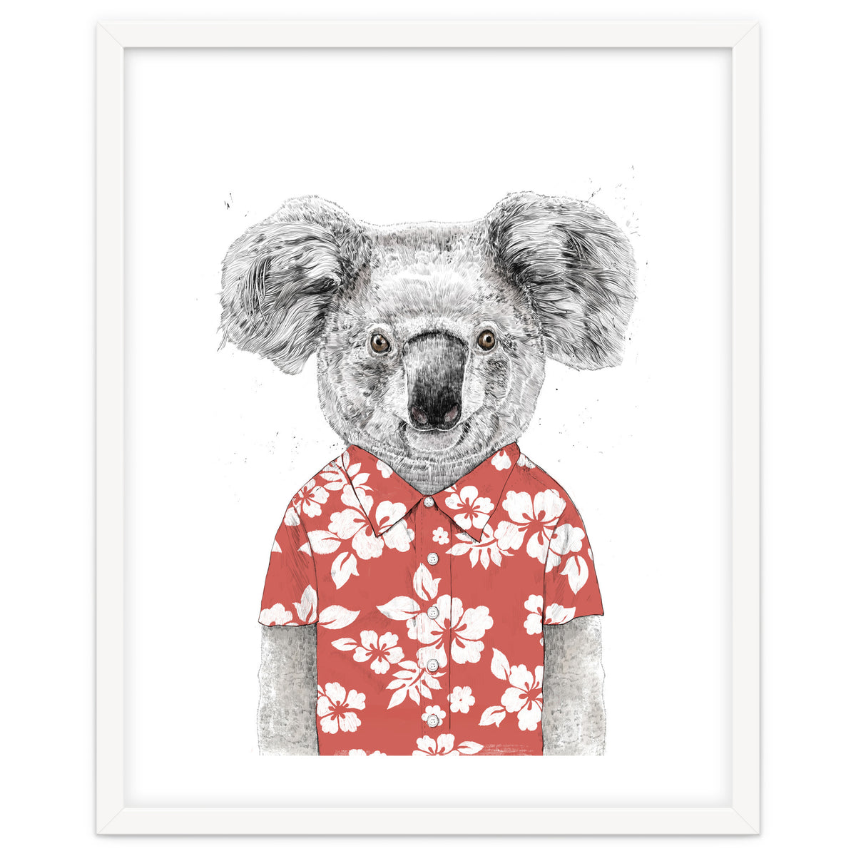 Summer Koala