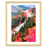 Valley of Pink Trees | Fantasy Pop of Color Forest Nature | Jungle Adventure Road Trip Pine thumbnail