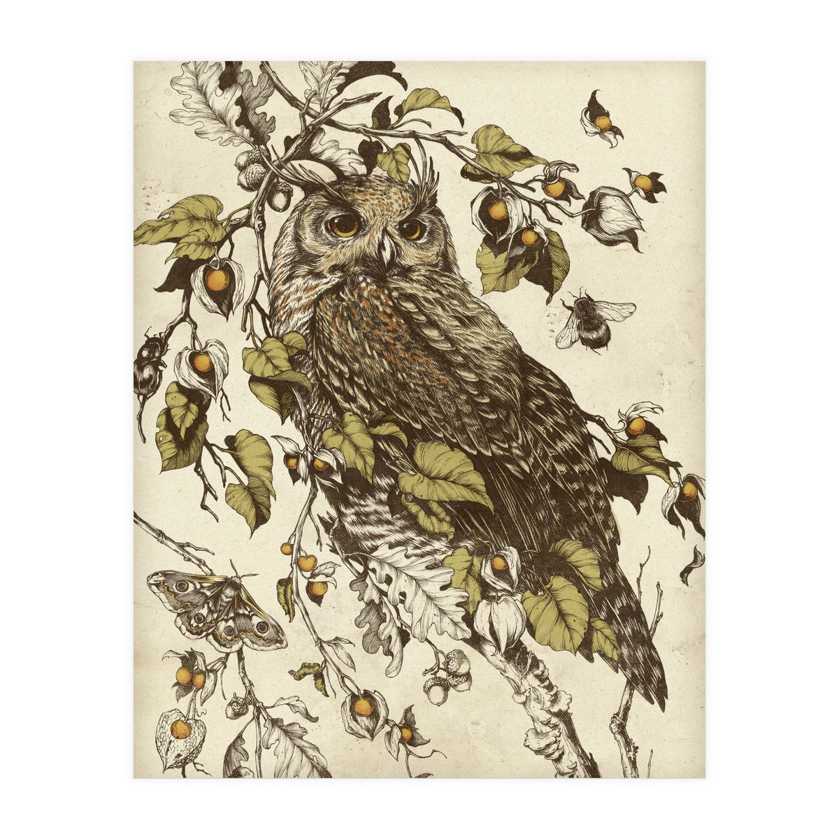 Great Horned Owl (Print Only)