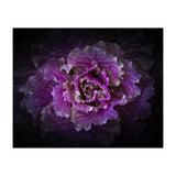 Backyard Flowers No 42 Color Version (Print Only) thumbnail