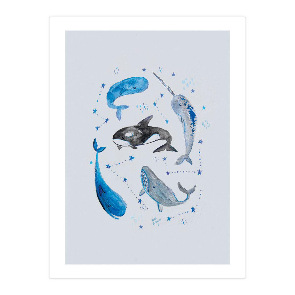 Whales (Print Only)