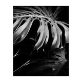 monstera nature (Print Only) thumbnail