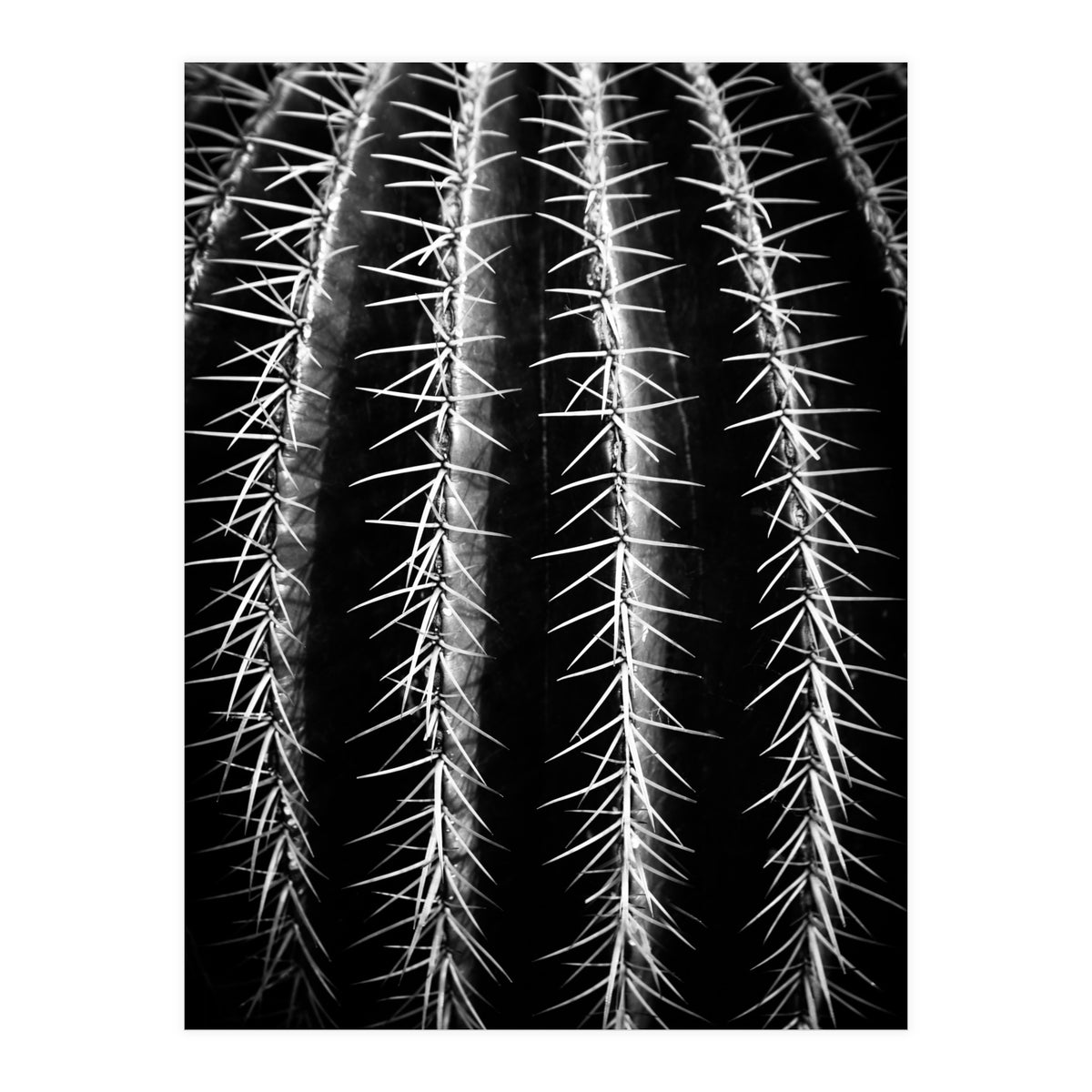 can't touch this (Print Only)