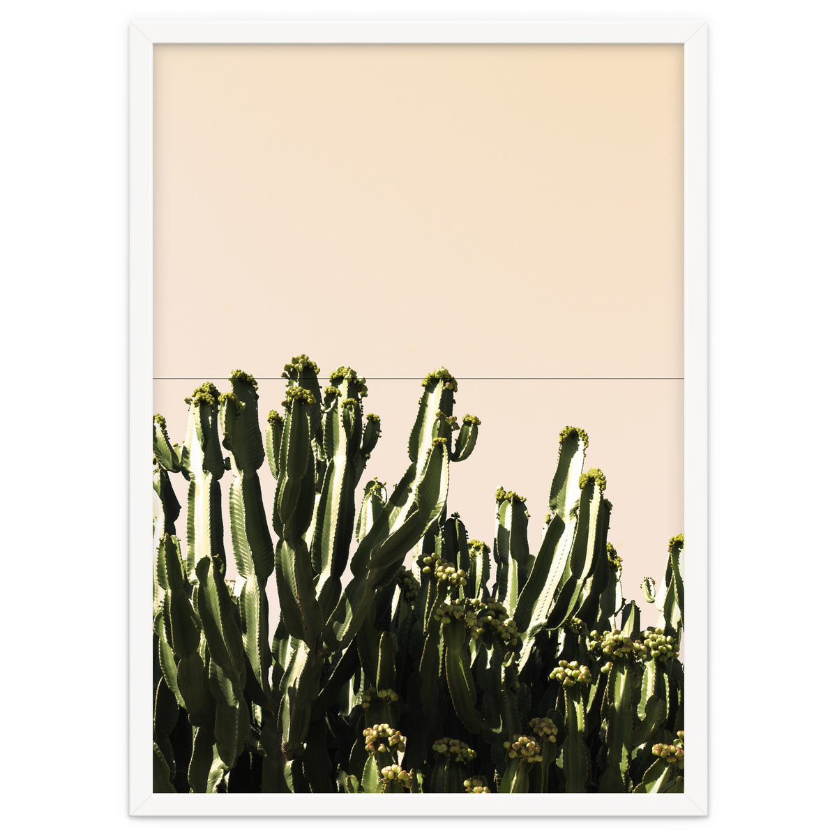 Cactus Vertical Color