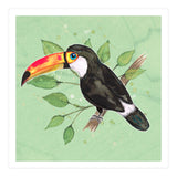 Toco toucan (Print Only) thumbnail
