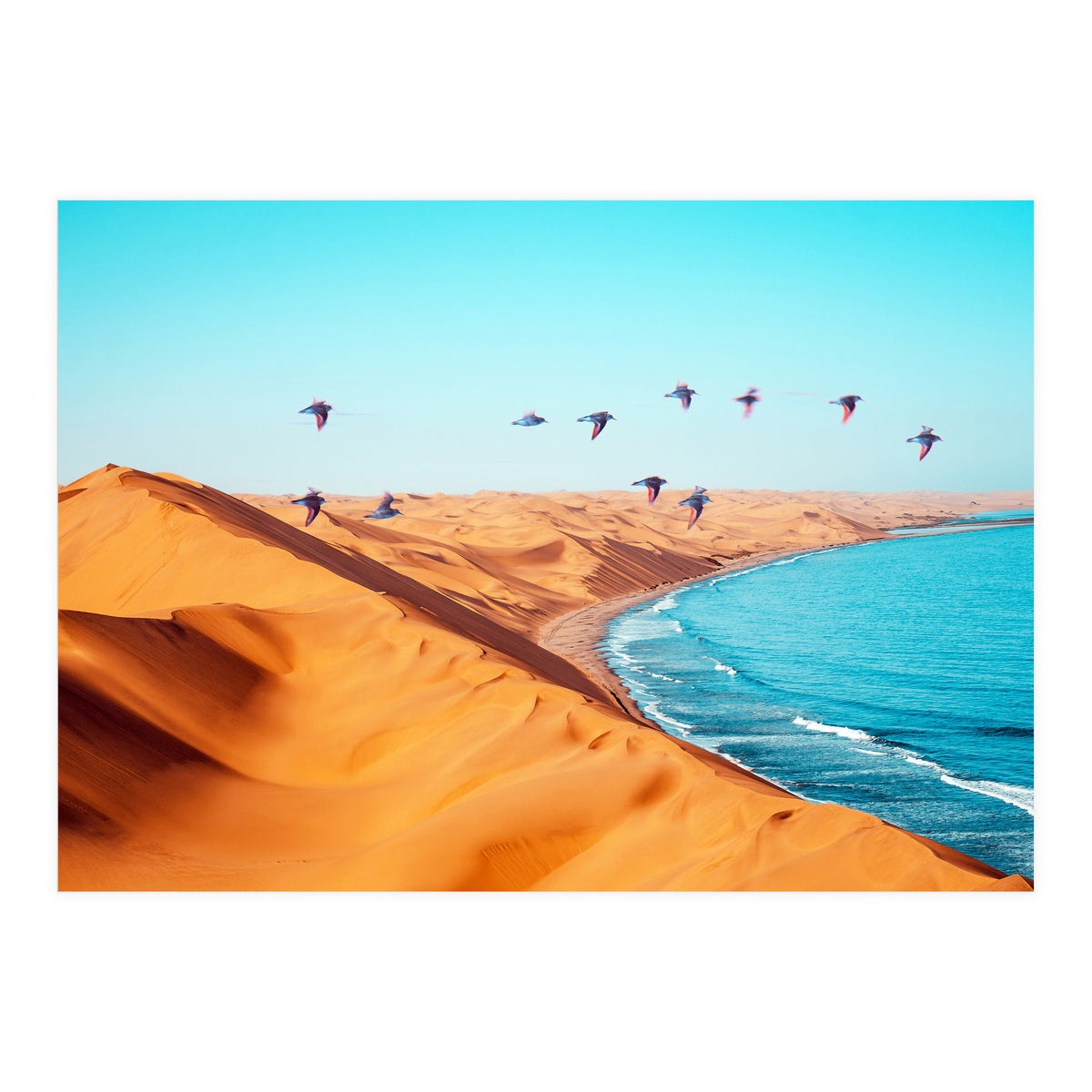 Desert Birds (Print Only)