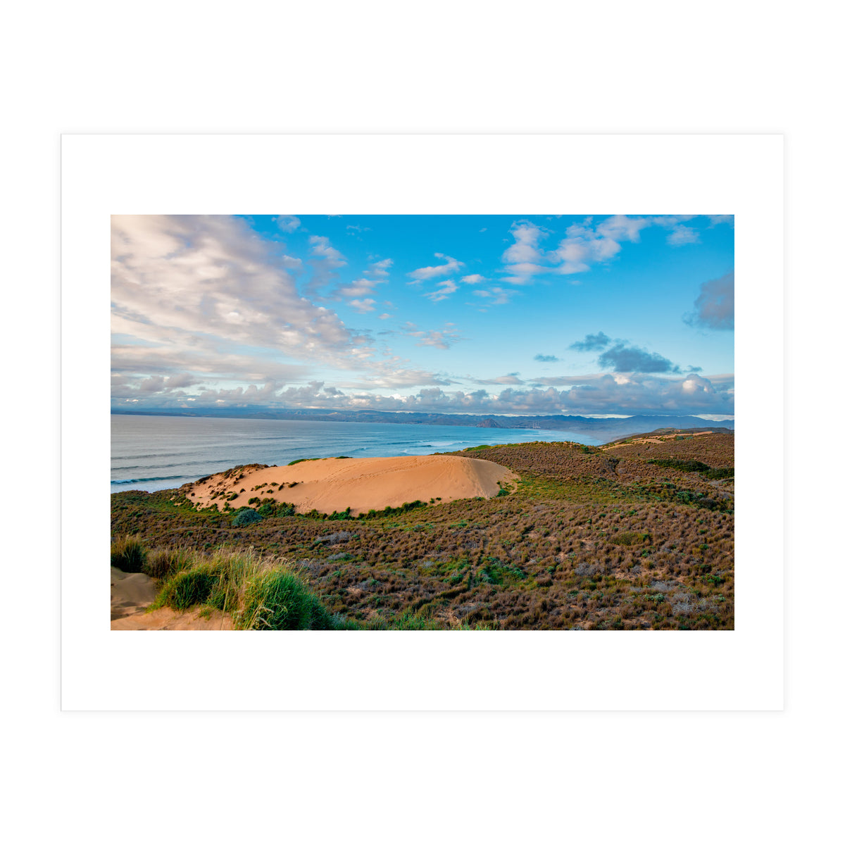 Coastal Sand Dune (Print Only)