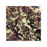 Surface Preparation (Print Only) thumbnail