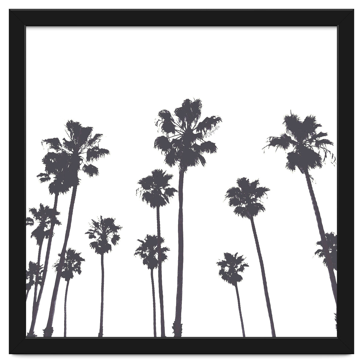 Palms & Sunset-Minimal B&W