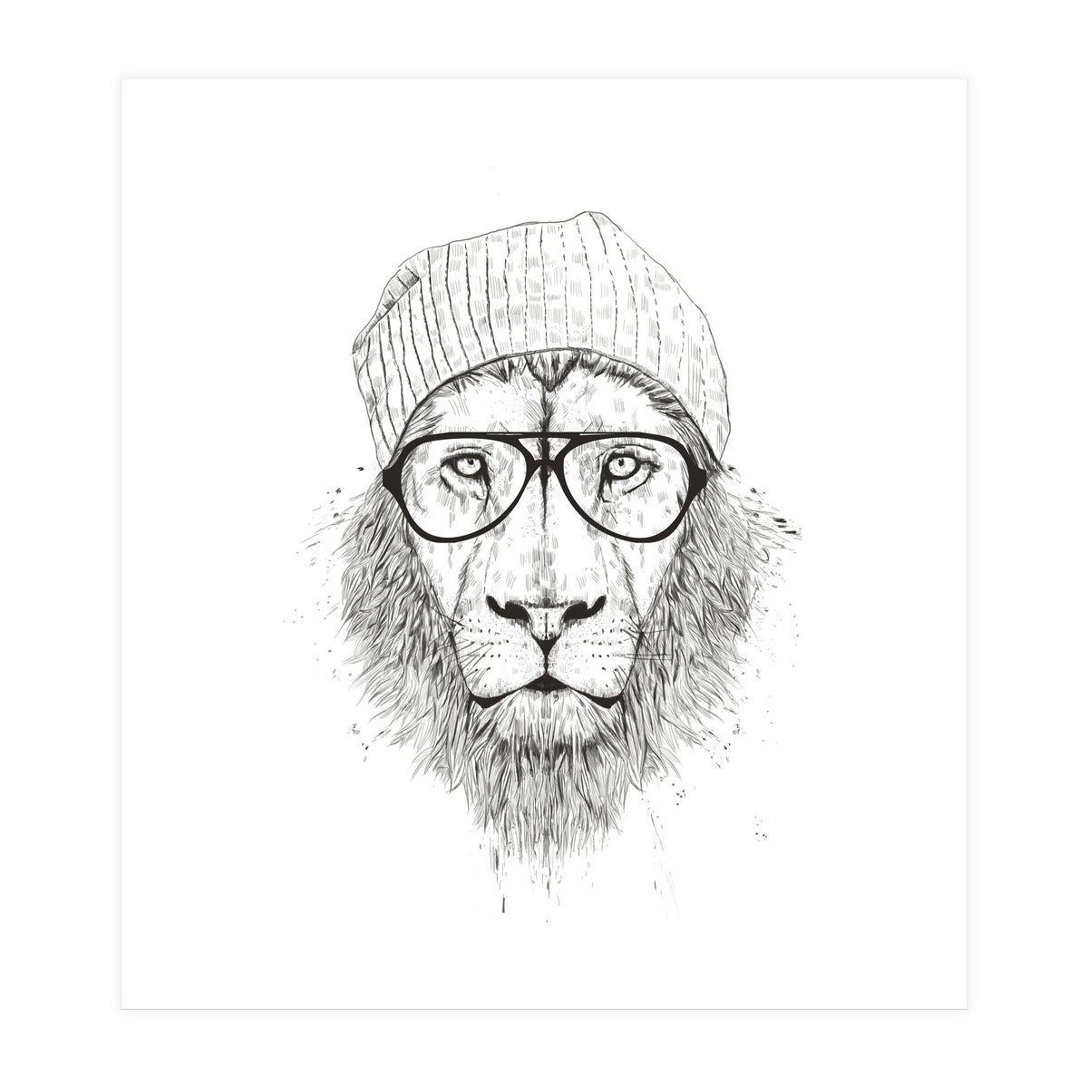Cool Lion Bw (Print Only)