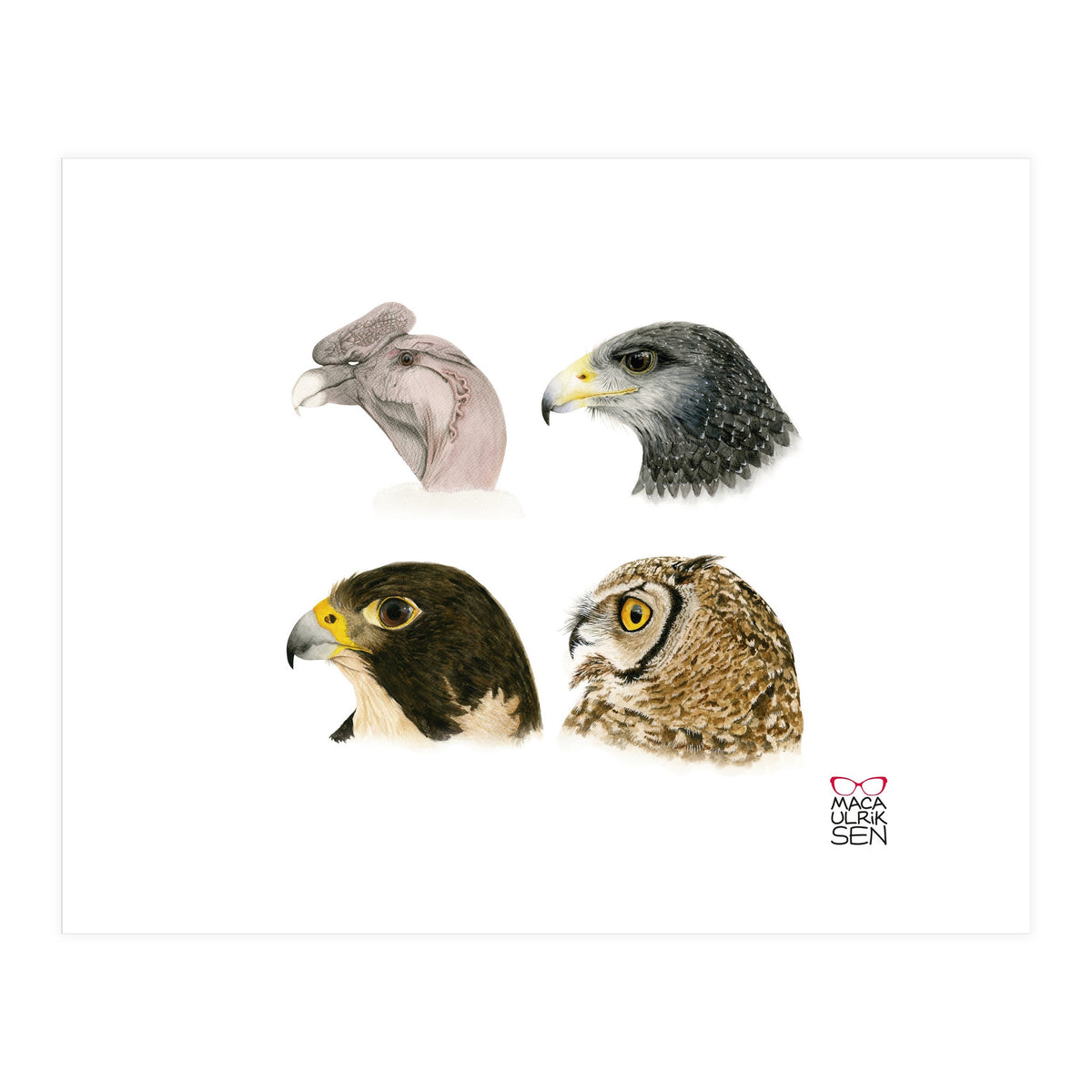 Profile raptors (Print Only)