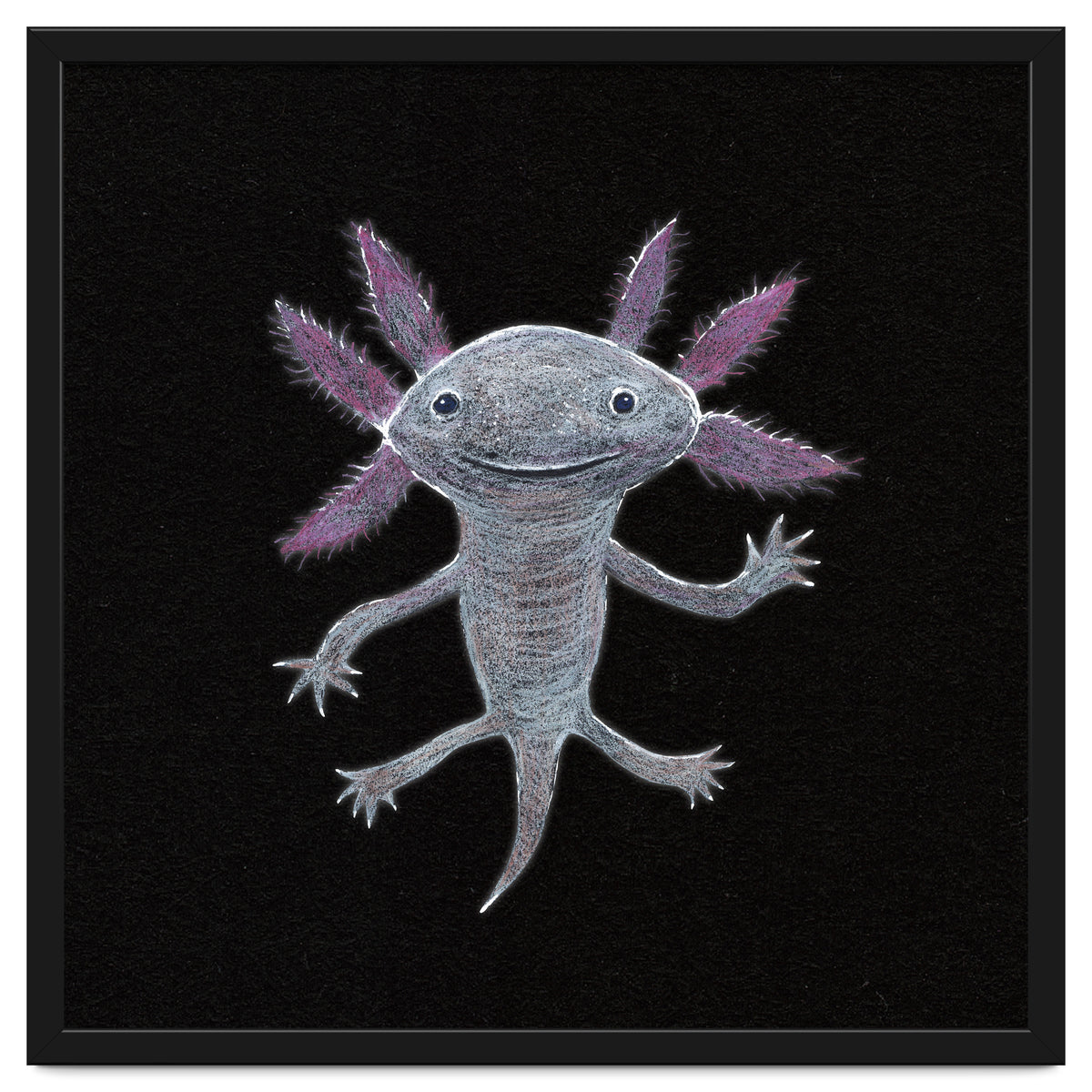 Axolotl