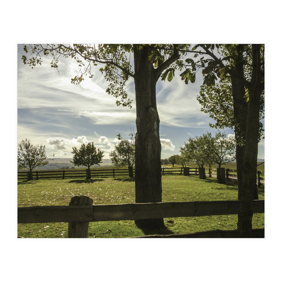 Bucolism 2 (Print Only)