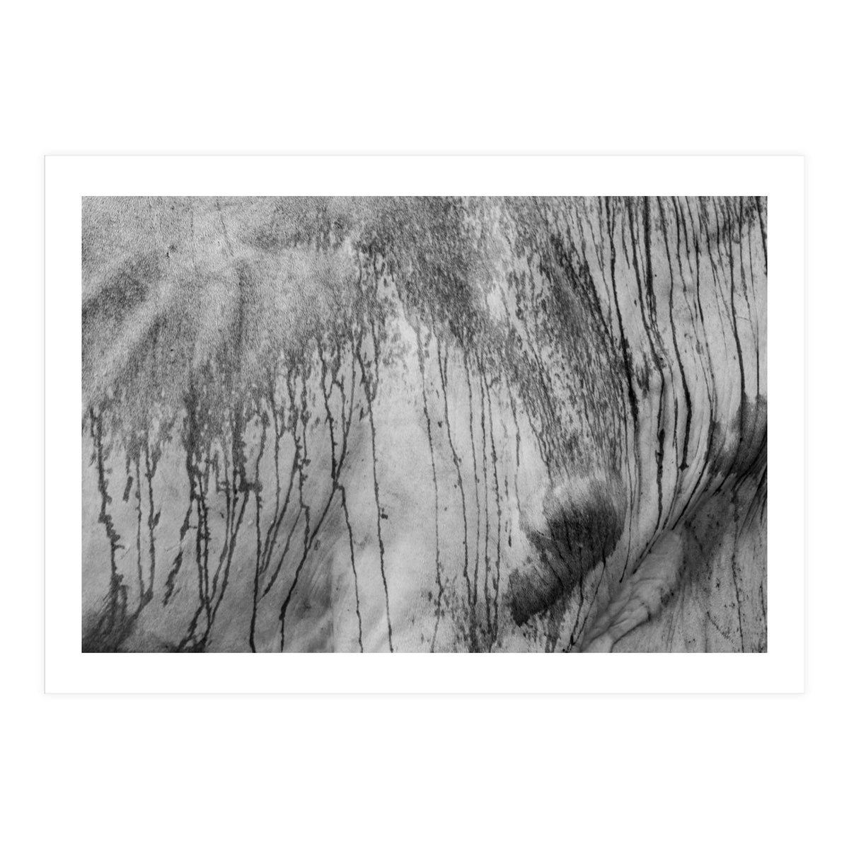 Abstract #2 (Print Only)