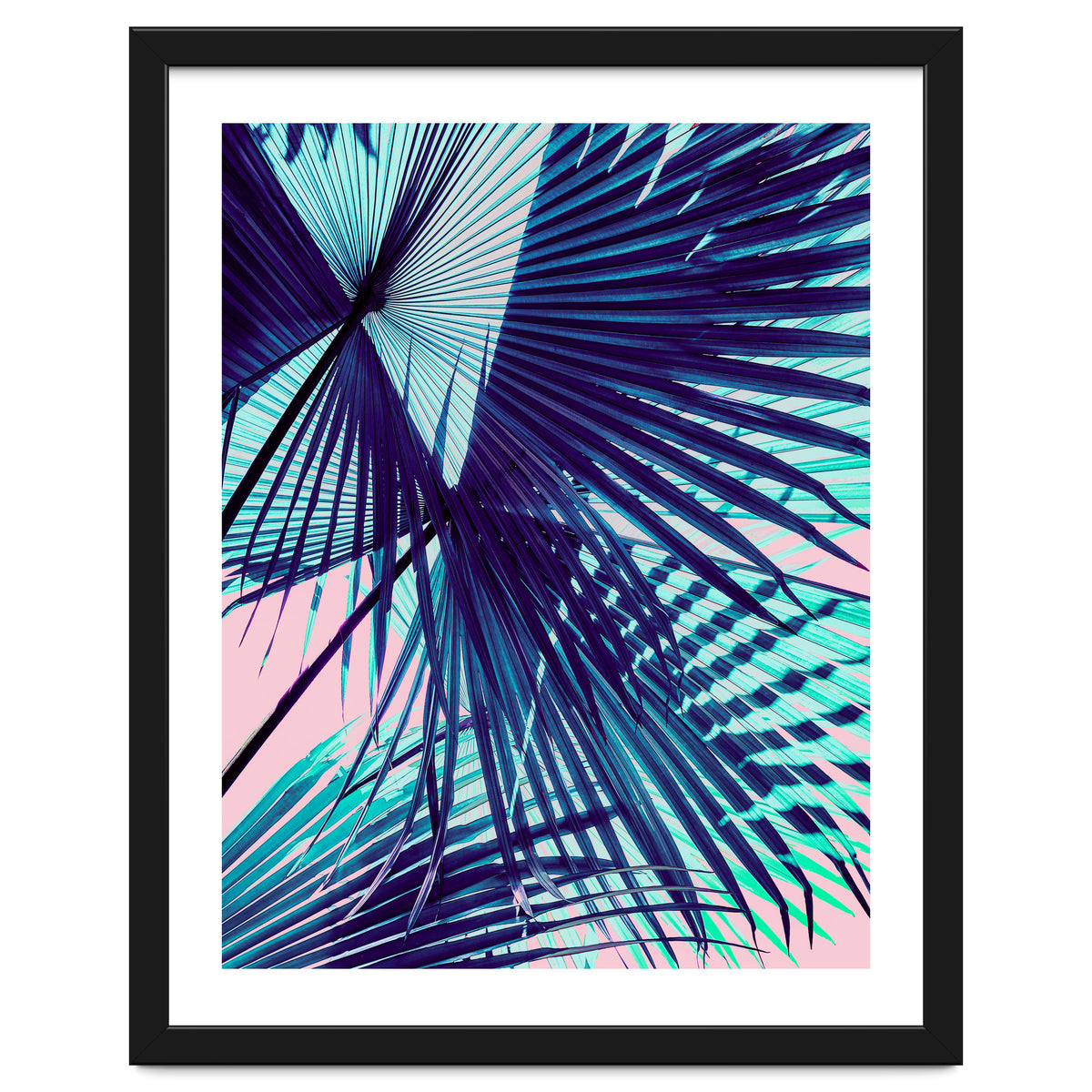Palm leaf on the beach