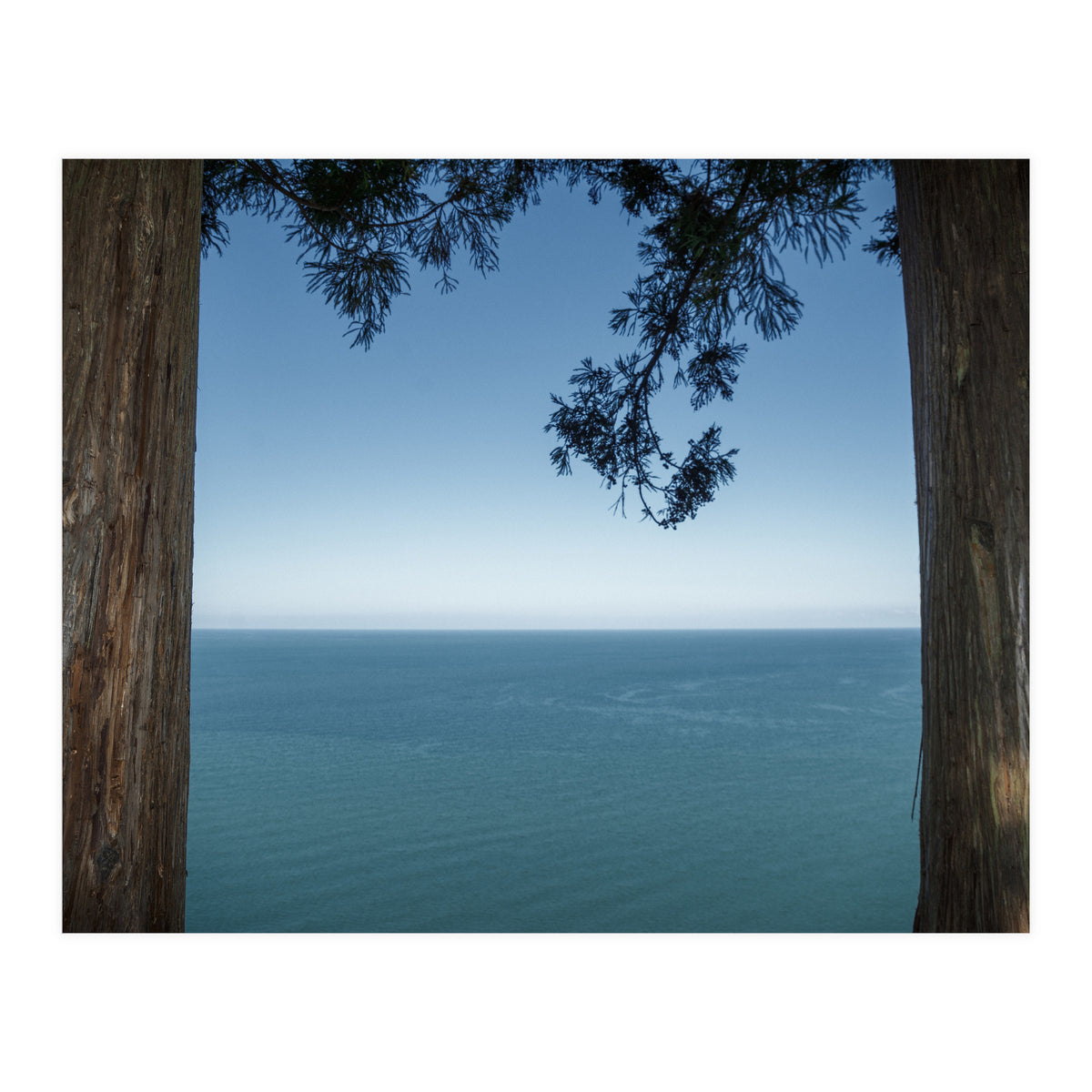 Picture Postcard Perfect (Print Only)