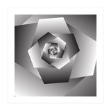 Monochrome Rose Spiral  (Print Only) thumbnail