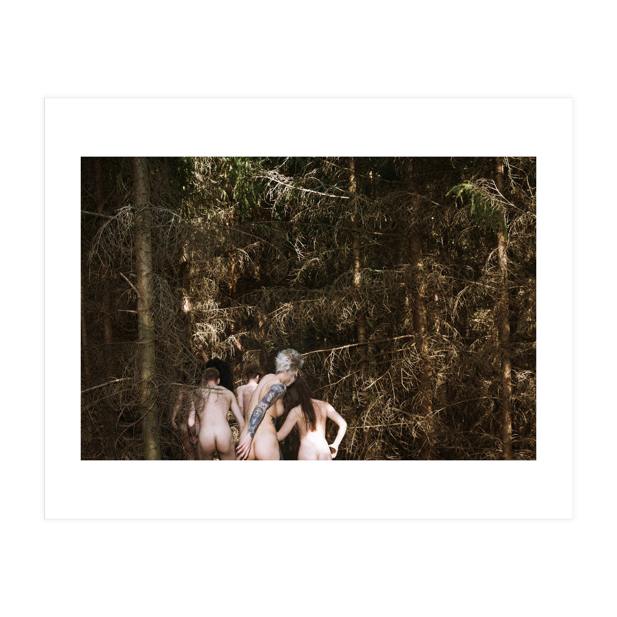 Born Free (Print Only)