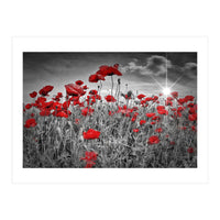 Idyllic Field of Poppies with Sun (Print Only)