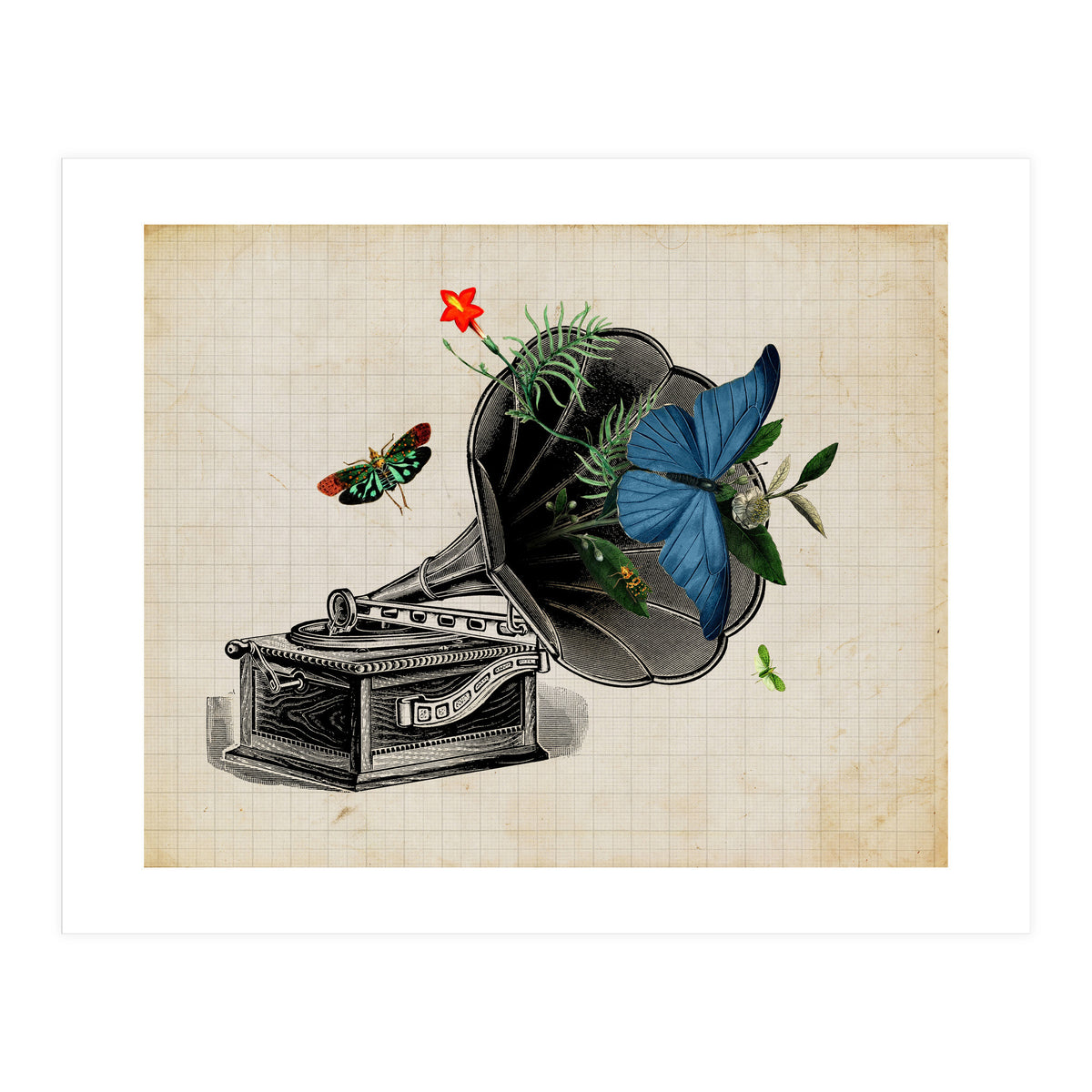 print vintage (Print Only)