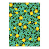 Luxuriance (Print Only) thumbnail