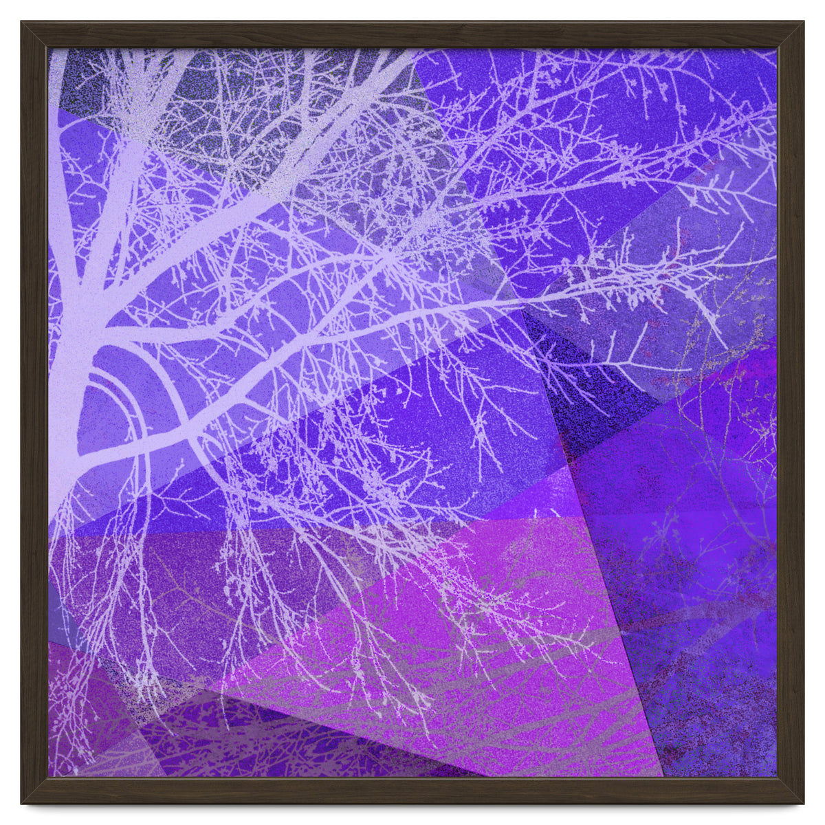 P19-D2 Trees and Triangles