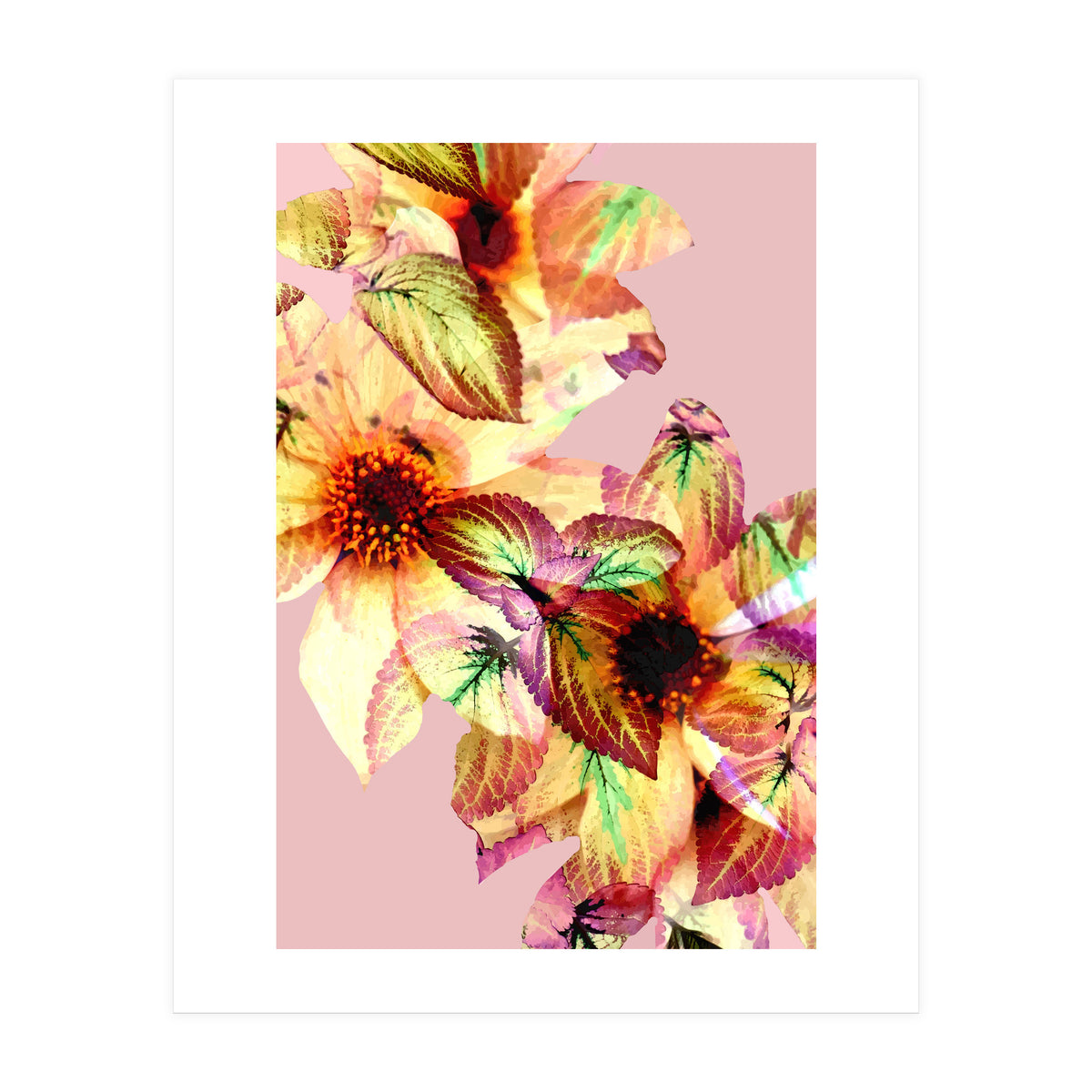 Flower Power (Print Only)