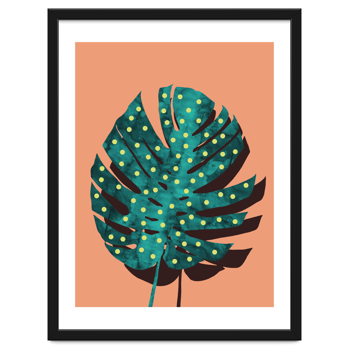 Monstera Deliciosa IV