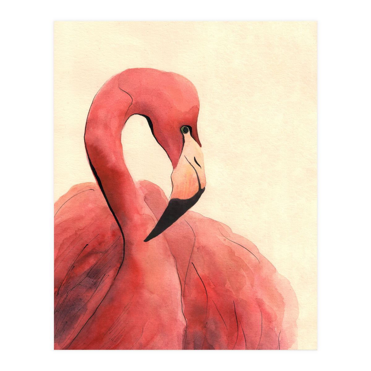 Flamingo (Print Only)