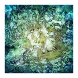 Observation (Print Only) thumbnail