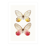 Cc Butterflies 04 (Print Only) thumbnail