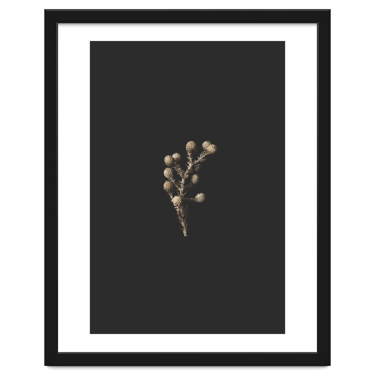 Gold Drops Botanicals