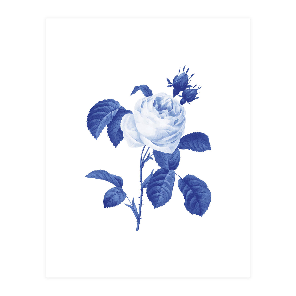 Blue Botanic I (Print Only)