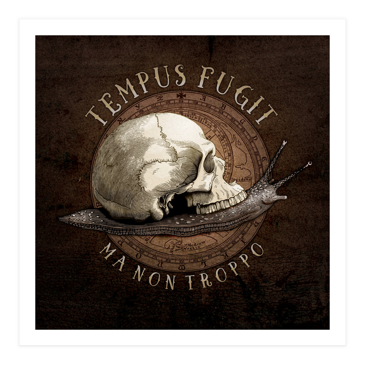 Tempus Fugit (ma non troppo) (Print Only)