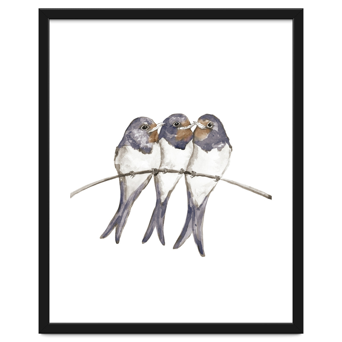 Three young swallows