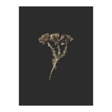 Gold Burst Botanicals - Square (Print Only) thumbnail