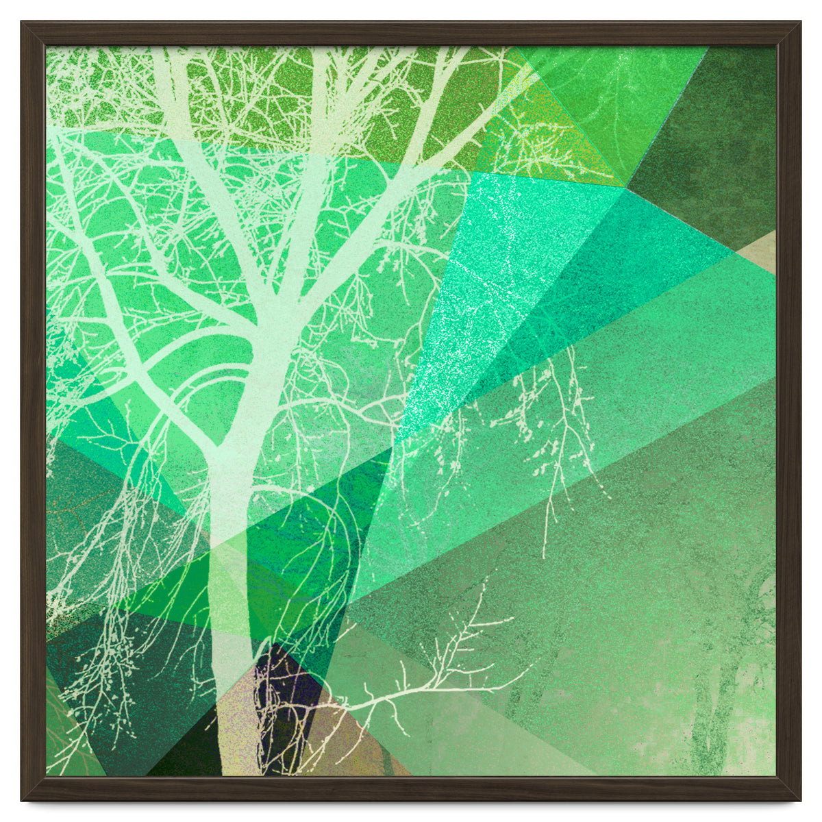 P22-B3 Trees And Triangles