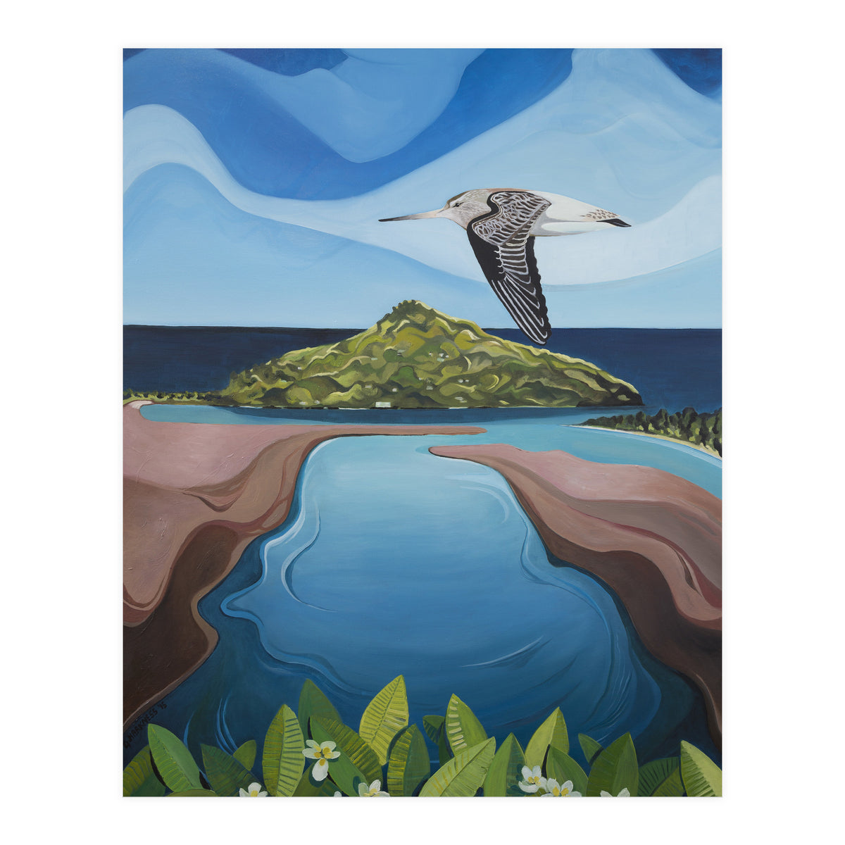 Godwit Over Paku (Print Only)