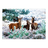 Unicorn Deer (Print Only) thumbnail
