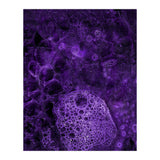 Deep purple (Print Only) thumbnail