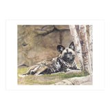 Afican Painted Dog IV - Imara (Print Only) thumbnail