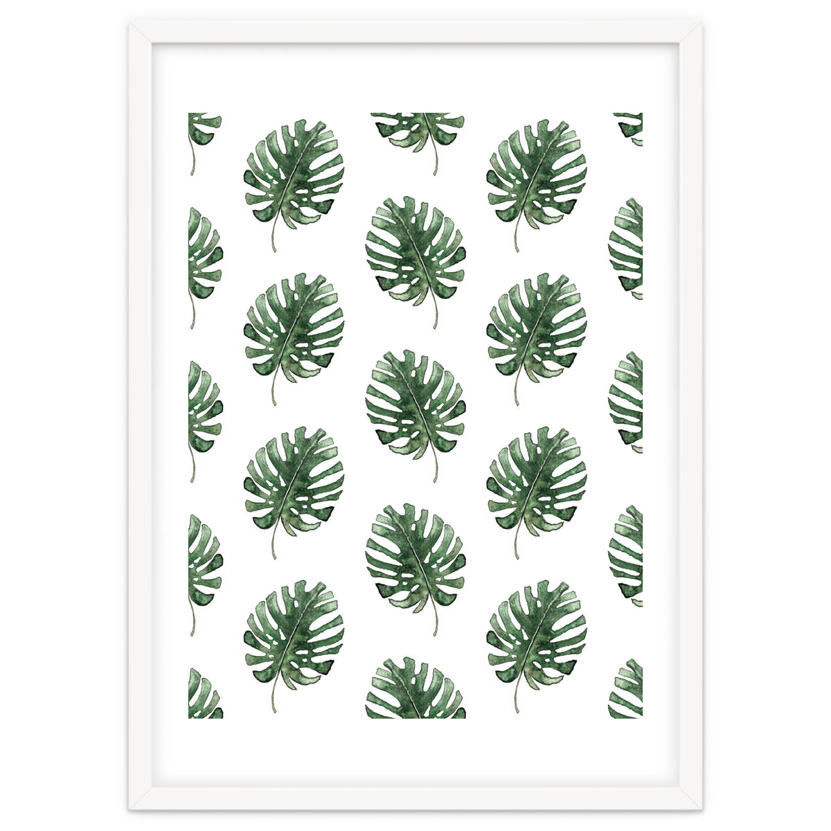 Monstera Leaves